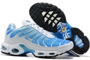 Nike Air Max TN 8909-207